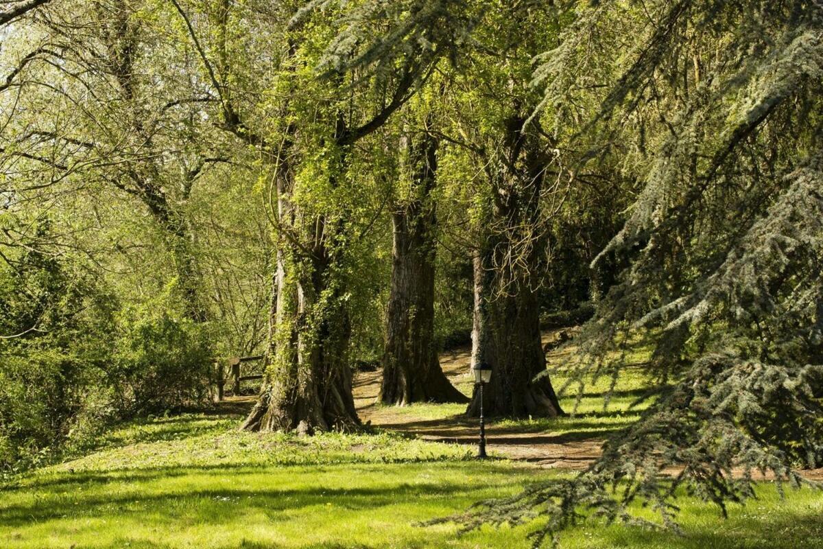 Chateau Laroche-Ploquin Sepmes Buitenkant foto